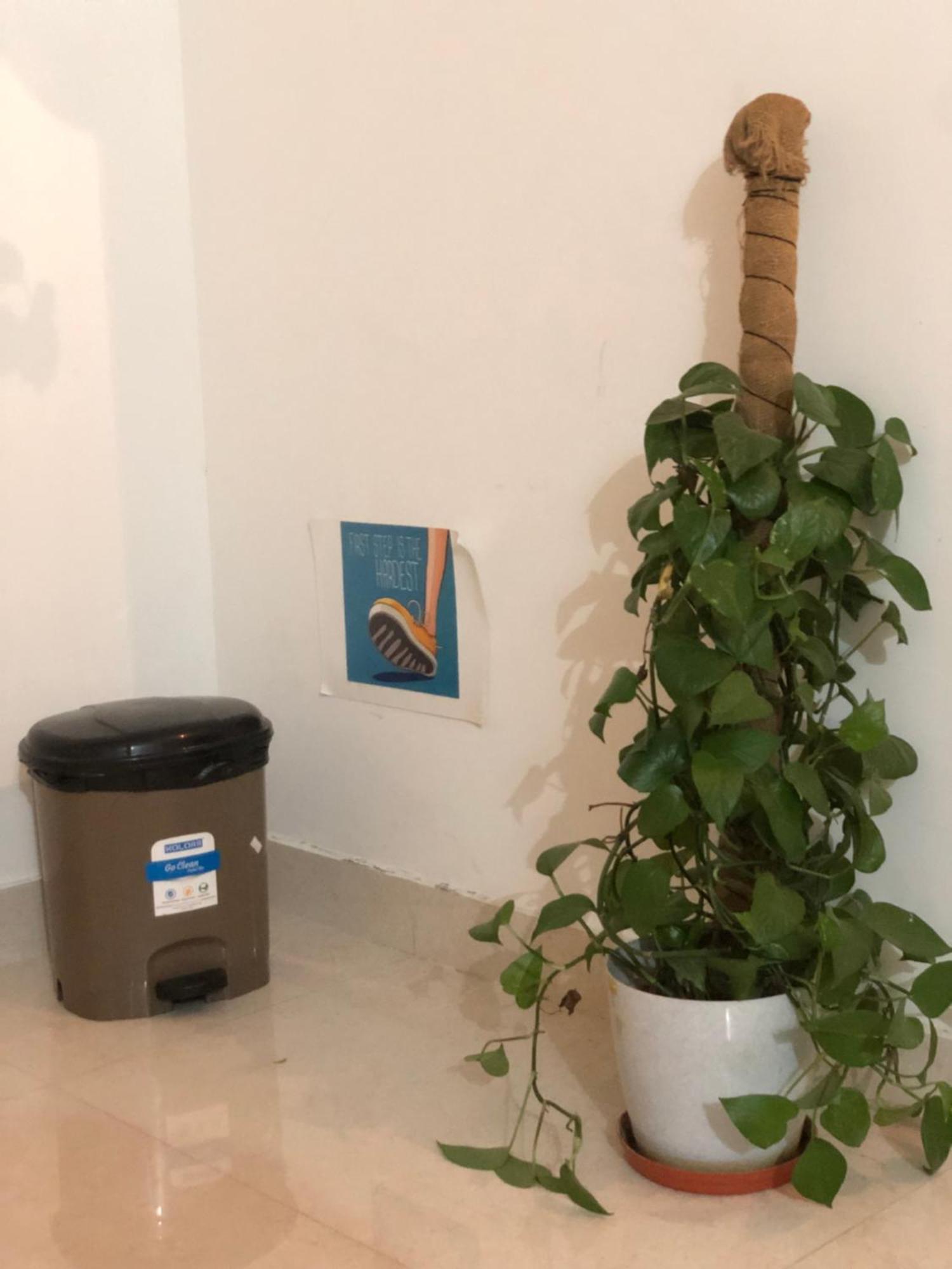 Sapthagiri Nest Lägenhet Chikmagalūr Exteriör bild